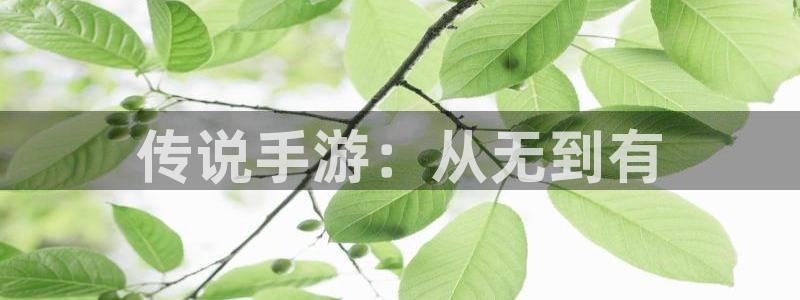 星空爱娱乐