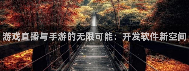 星空娱乐2021官方网站：游戏直播与手游的无限可能：开发软件