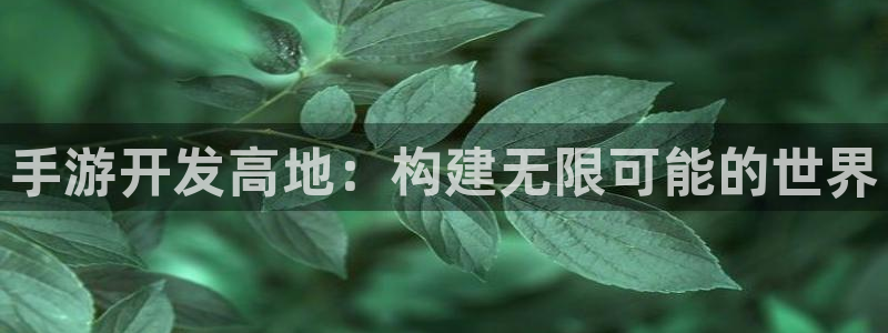 星空93299娱乐官网