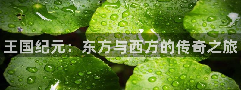 星空娱乐93299：王国纪元：东方与西方的传奇之旅