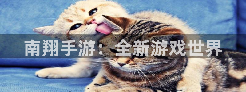 星空娱乐 挂：南翔手游：全新游戏世界
