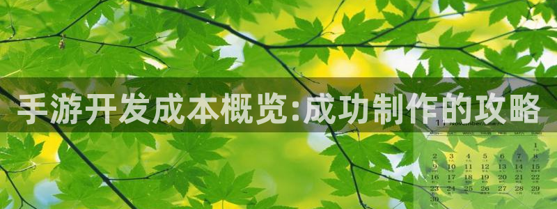 星空娱乐老版：手游开发成本概览:成功制作的攻略