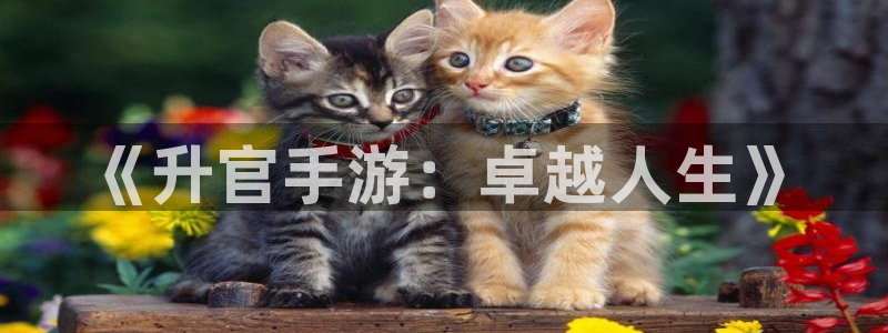 星空娱乐改名后叫什么：《升官手游：卓越人生》