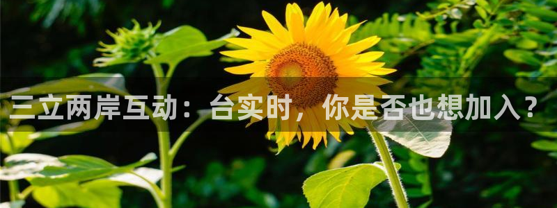 柠檬nba篮球直播