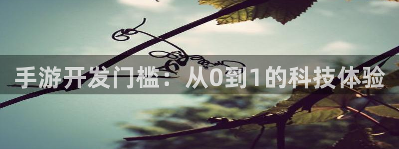 星空体育娱乐官网：手游开发门槛：从0到1的科技体验