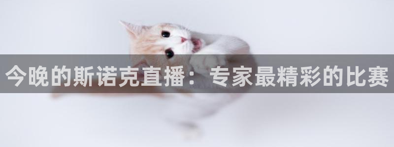 柠檬足球现场直播：今晚的斯诺克直播：专家最精彩的比赛